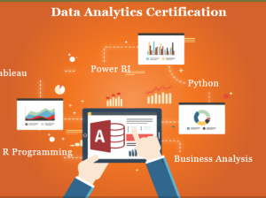 Top Data Analyst Training Course in Delhi, 110005