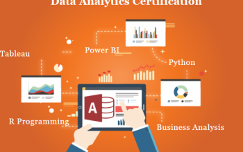 Top Data Analyst Training Course in Delhi, 110005