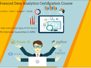 Job Oriented Data Analyst Course in Delhi, 110046.