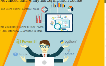 Job Oriented Data Analyst Course in Delhi, 110046.