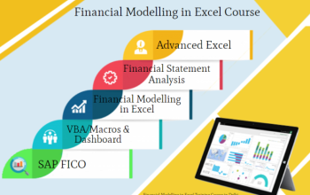 Financial Modeling Course in Delhi, SLA 110060.